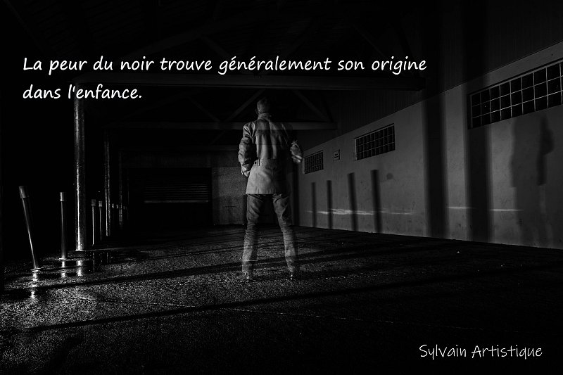 Sylvain_Sans_titre
